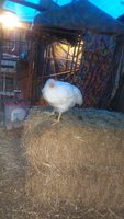 20180621_083014.jpg