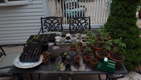 20180620_195939.jpg