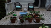 20180620_195912.jpg