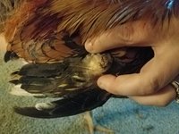 20180620_230206.jpg