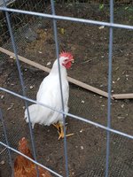 Resized_20180611_194304.jpeg