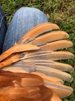 iphone pics 004.JPG