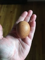 3C6B9E52-D10B-4016-A3A4-10007F26AF0F.jpeg