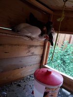20180621_200556.jpg