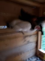 20180621_200538.jpg