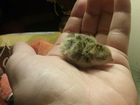 20180621_231220.jpg