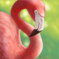 flamingo_by_chickenshannon-dceq4qe.jpg
