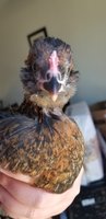 20180622_094240.jpg