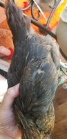 20180622_094354.jpg