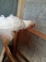 20180620_091938.jpg