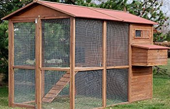 Adding A Little Jazz To Your Coop and Run