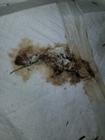 20180622_195021.jpg