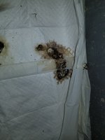 20180621_191430.jpg