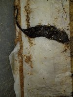20180620_162608.jpg