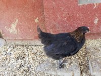 20180622_160710.jpg