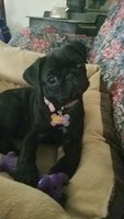wx_camera_1522454062781.jpg
