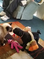 20180408_162642.jpg