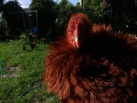20180622_091203.jpg