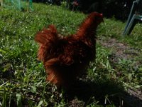 20180622_091213.jpg