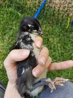 20180623_133516.jpg