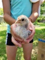20180623_133756.jpg