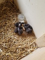 20180623_150642.jpg