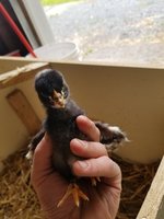 20180623_141122.jpg