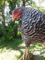 20180623_151531.jpg