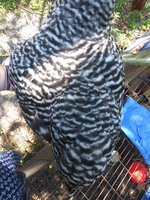 20180623_151519.jpg
