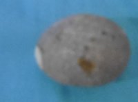 P1010560.JPG