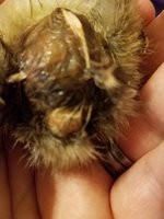 20180623_210206.jpg
