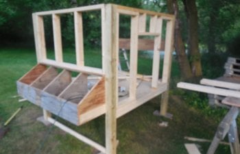 Building My Own Ckicken Coop