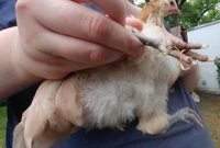 20180623_173237.jpg