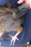 20180623_172645.jpg