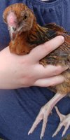 20180623_172648.jpg