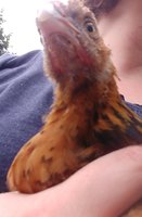 20180623_172702.jpg