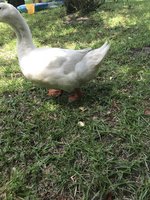 3D19579E-1DD0-4F43-9F54-A46B45953621.jpeg