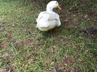 EC569D2E-942C-4F81-8E2C-E4B07675E4ED.jpeg