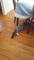 2017-01-16 12.32.30.jpg