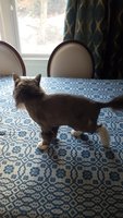 2017-01-16 12.46.19.jpg