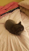 2017-01-23 23.23.41.jpg