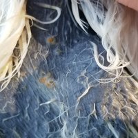 20180623_175119.jpg