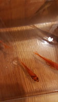 2017-01-31 00.07.25.jpg