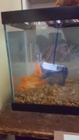 20180624_145030.jpg