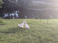 IMG_20180624_194227.jpg