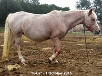 15oct1kla135216.jpg