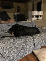 8DF5143A-59CE-45BB-82D4-B629D5B6D69A.jpeg