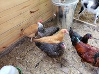 20180624_171229.jpg