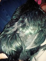 20180626_114559_Film3.jpg
