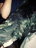 20180626_114612_Film3.jpg